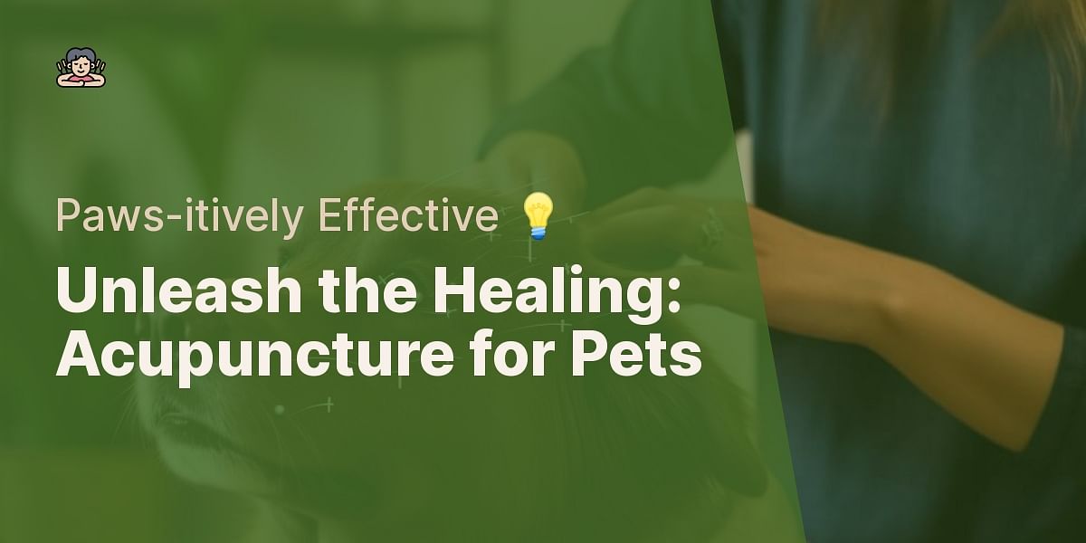 Can Acupuncture Help Your Pet? A Look at Acupuncture for Dogs