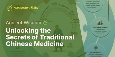 Unlocking the Secrets of Traditional Chinese Medicine - Ancient Wisdom 🌿