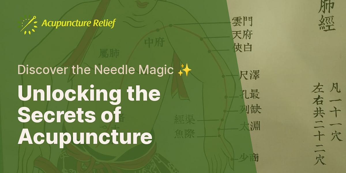 What is an acupuncture treatment like?