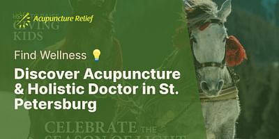 Discover Acupuncture & Holistic Doctor in St. Petersburg - Find Wellness 💡