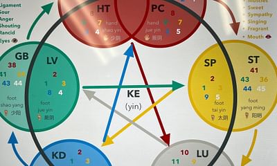 How can I learn the meridians of acupuncture?
