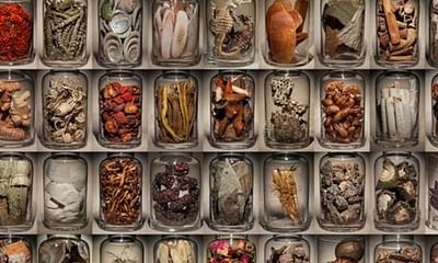 Which is more effective: acupuncture or Western medicine?